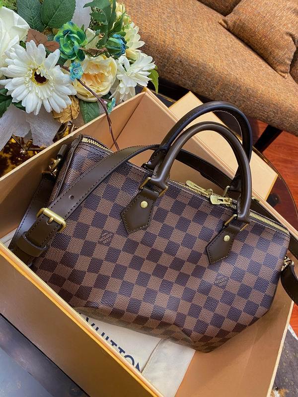 LV Handbags 33